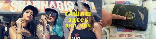молекула духа Алексеевка