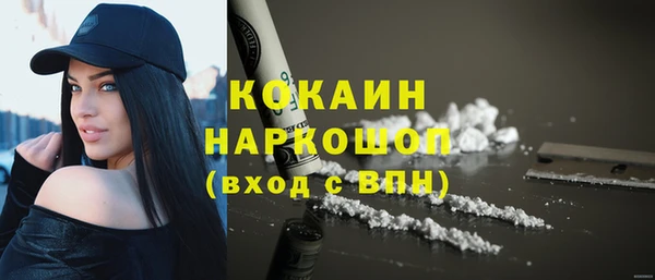 шишки Новокубанск