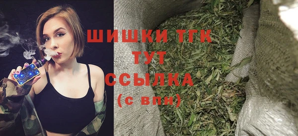 молекула духа Новозыбков