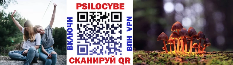 как найти Чебоксары Псилоцибиновые грибы Magic Shrooms